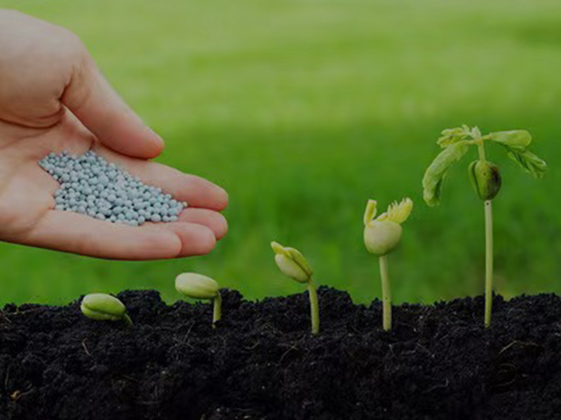 New Type of Fertilizer